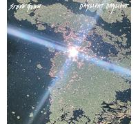Steve Gunn - Daylight Daylight [VINYL]