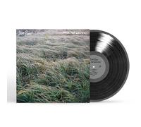 STEVE GUNN - Music For Writers [VINYL]