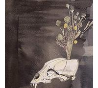 Steve Gunn - Seasonal Hire - New CD - M1111z