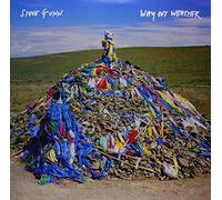 Steve Gunn - Way Out Weather [VINYL]