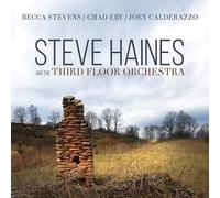 Steve Haines and the Third Floor Orchestra : Steve Haines and the Third Floor