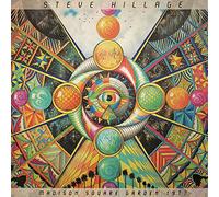 Steve Hillage - Madison Square Garden 1977 [VINYL]