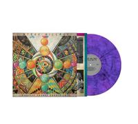 Steve Hillage - Madison Square Garden 1977 [VINYL]