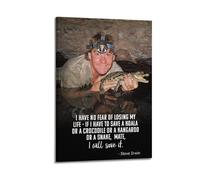 Steve Irwin Inspirational Quote Art Posters Are Suitable for Decorating Living Room, Bedroom, Study, Restaurant, Corridor, Children's Room, EtcFrame-style 16x24inch(40x60cm)