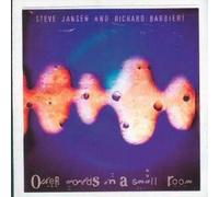 Steve Jansen - Other Worlds In A Small Room
