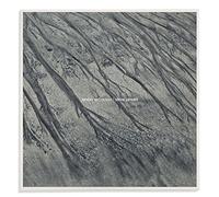 Steve Jansen - Tender Extinction