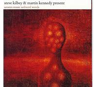 Steve Kilbey - Unseen Music Unheard Words [2018 Reissue 180 Gr 2LP Vinyl 300 copies Limited Edition]