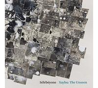 Steve Lehman & Selebeyone - Xaybu: The Unseen [VINYL]