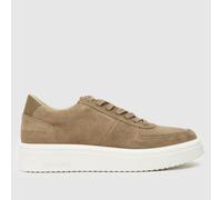 Steve Madden Flynn Trainers in Taupe UK 7 (EU 41)