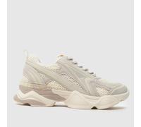 Steve Madden light grey speedster Girls Junior trainers UK 13 (EU 32)