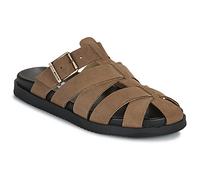 Steve Madden Mules / Casual Shoes MAMBA in Brown 8