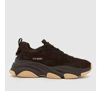 Steve Madden Possess Trainers in Brown UK 11 (EU 45)