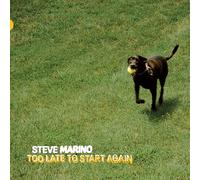 Steve Marino - Too Late To Start Again [VINYL]