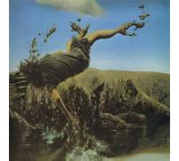 Steve Miro - Rude Intrusions/Second Sentence/Trilemna