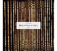 STEVE MOORE - BELOVED EXILE - Vinyl Record VL - G3z