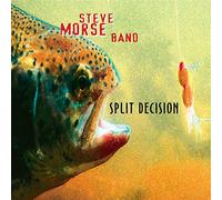 Steve Morse Band - Split Decision [GREEN] [VINYL]