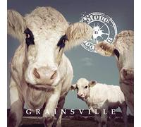 Steve `n Seagulls - Grainsville