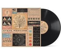 Steve Porcaro - The Very Day [VINYL]
