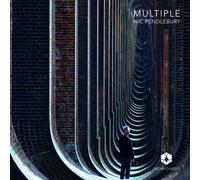 Steve Reich : Nic Pendlebury: Multiple CD (2022) NEW Fast and FREE P & P