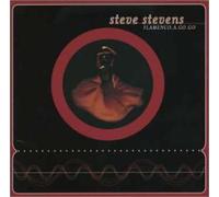 Steve Stevens - Flamenco a Go Go