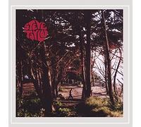 Steve Taylor - Has the Size of the Road Got the Better of You?