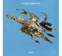 Steve Tibbetts - Big Map Idea