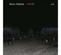 Steve Tibbetts - Life Of