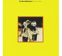 Steve Trio Miller - Brave New World