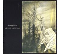 Steve Von Till - A Grave Is A Grim Horse