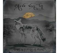 STEVE VON TILL - ALONE IN A WORLD OF WOUNDS [VINYL]