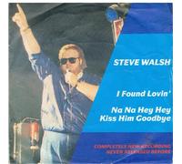 Steve Walsh (2) - I Found Lovin' Radio Mix / Na Na Hey Hey Kiss Him Goodbye [7" Vinyl]