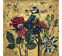 Steve Wickham - Beekeeper - New Vinyl Record Vinyl - 55 - O23z