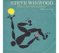 Steve Winwood - While You See A Chance - Island Records - 102 729-100, Island Records - 102 729