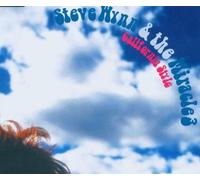 Steve Wynn - California Style