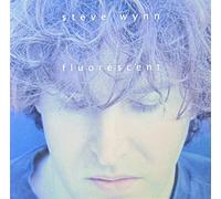Steve Wynn - Fluorescent [Vinyl LP] [Schallplatte]