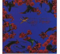 Steven Anderson - Gipsy Power