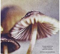 Steven Bernstein - Tattoos and Mushrooms