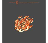 Steven Bernstein & The Hot 9 - Manifesto of Henryisms (Community Music, Vol. 3) [VINYL]