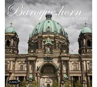Steven Gross - Baroque.Horn