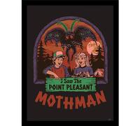 Steven Rhodes I Saw The Mothman Framed Poster Steven Rhodes Multicolor