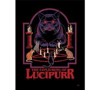 Steven Rhodes The Conjuring Of Lucipurr Framed Poster in Black Steven Rhodes Black