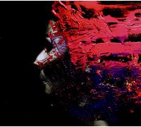 Steven Wilson - Hand.Cannot.Erase