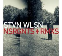 Steven Wilson - Insurgentes - RMXS