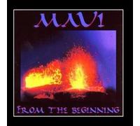 Steven Wiseman - Maui ... From The Beginning (US Import) [DE Import] [Import anglais]