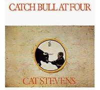 Stevens Cat - Catch Bull at Four