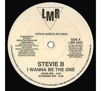 STEVIE B / I WANNA BE THE ONE