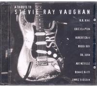 Stevie Ray Vaughan - A Tribute to Stevie Ray Vaughan