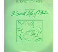 Stevie Wonder - Journey Through The Secret Life Of Plants