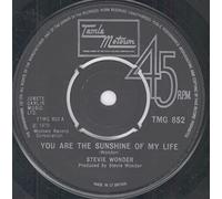 Stevie Wonder - You Are The Sunshine