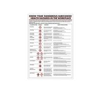 Stewart Superior PG23 Health Hazards in the Workplace Poster, 420 mm x 600 mm